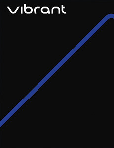 Vibrant Performance Brand Guidelines